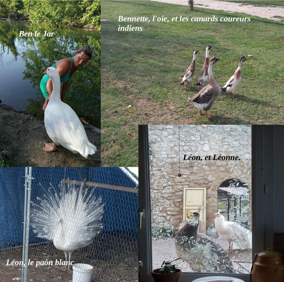 Le Mas De La Jardine Velleron Zewnętrze zdjęcie