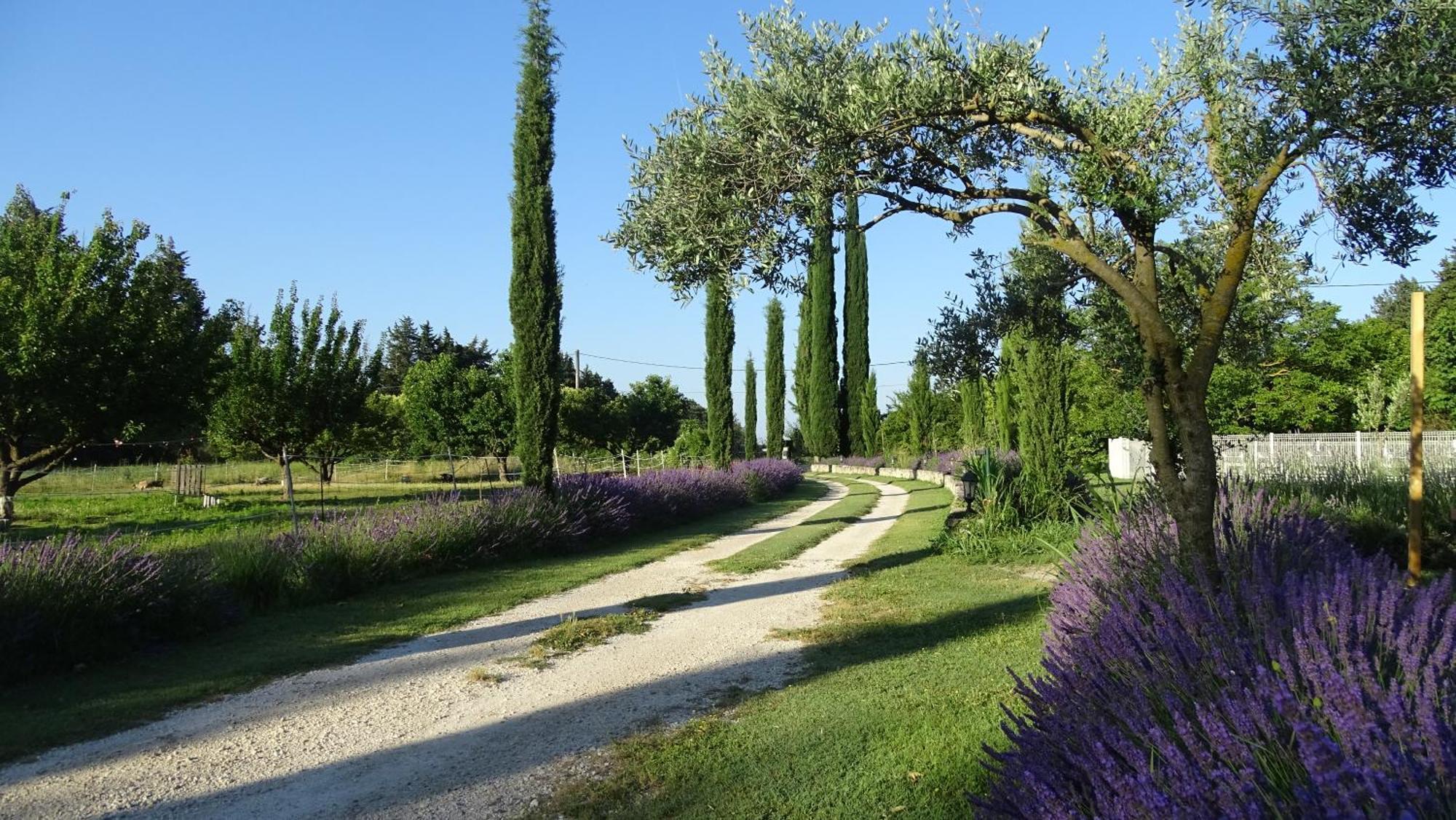 Le Mas De La Jardine Velleron Zewnętrze zdjęcie