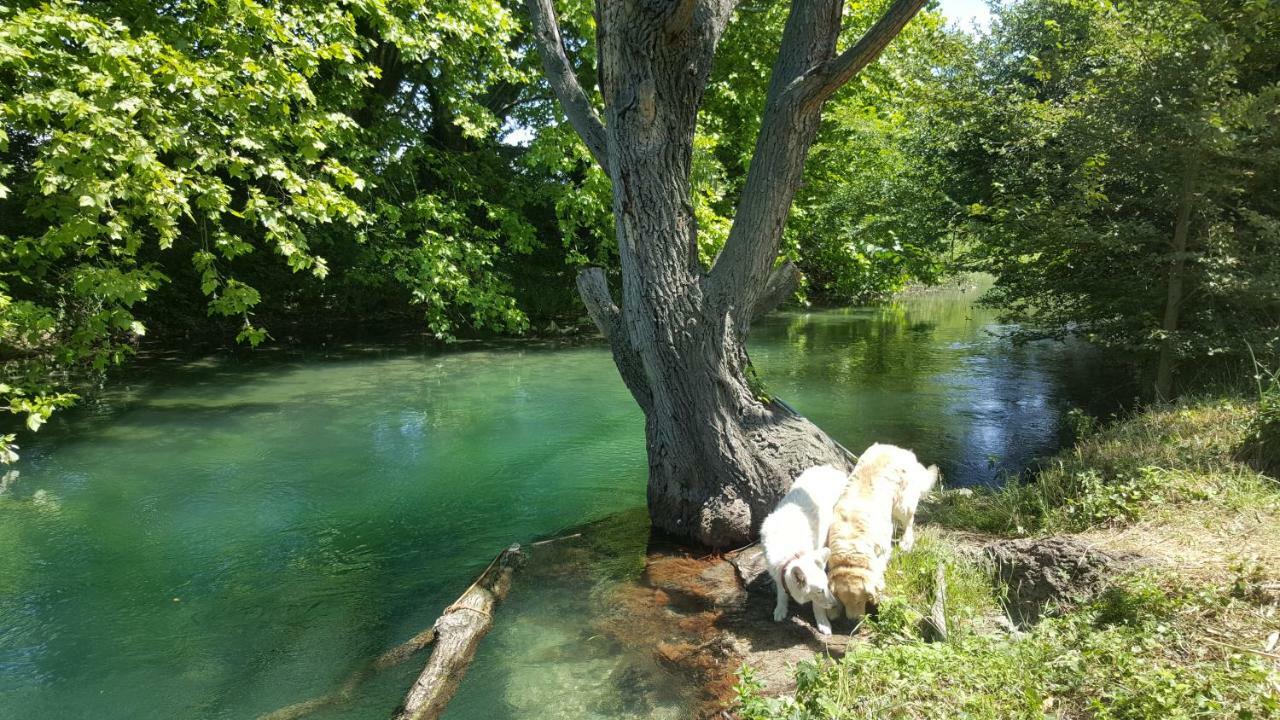 Le Mas De La Jardine Velleron Zewnętrze zdjęcie